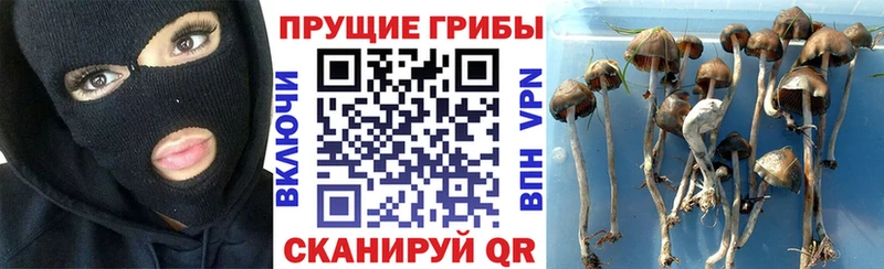 Галлюциногенные грибы мицелий  наркотики  блэк спрут вход  Октябрьский 
